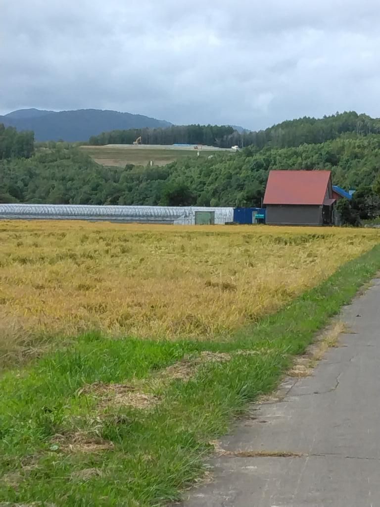 12,015 sqm Forest Land for Sale in Niki Town, Hokkaido - Thumbnail 4