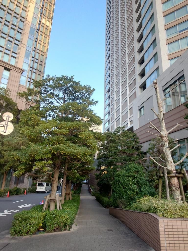 Park Court Akasaka The Tower 24F - 3SLDK Apartment in Minato - Thumbnail 3