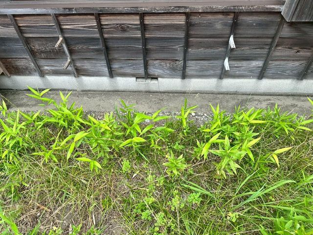 Vacant Land for Sale in Kitookisu, Tokushima City - Thumbnail 4