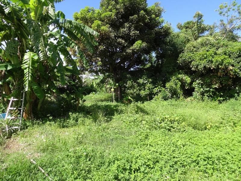 Tsukishiro Land for Sale in Nanjo City, Okinawa - 1267 sqm Plot - Thumbnail 2