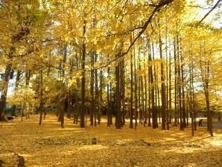 4LDK House for Sale in Nerima, Tokyo - 90.26 sqm - Thumbnail 3