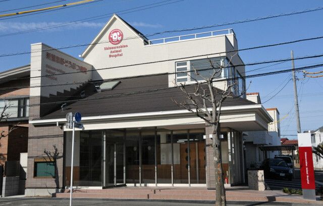 4LDK Investment House in Narashino, Chiba - 5.6% Yield - Thumbnail 3