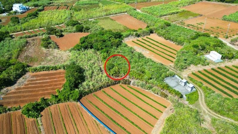 Vacant Land for Sale in Kouri, Nakijin Village, Okinawa - Thumbnail 4