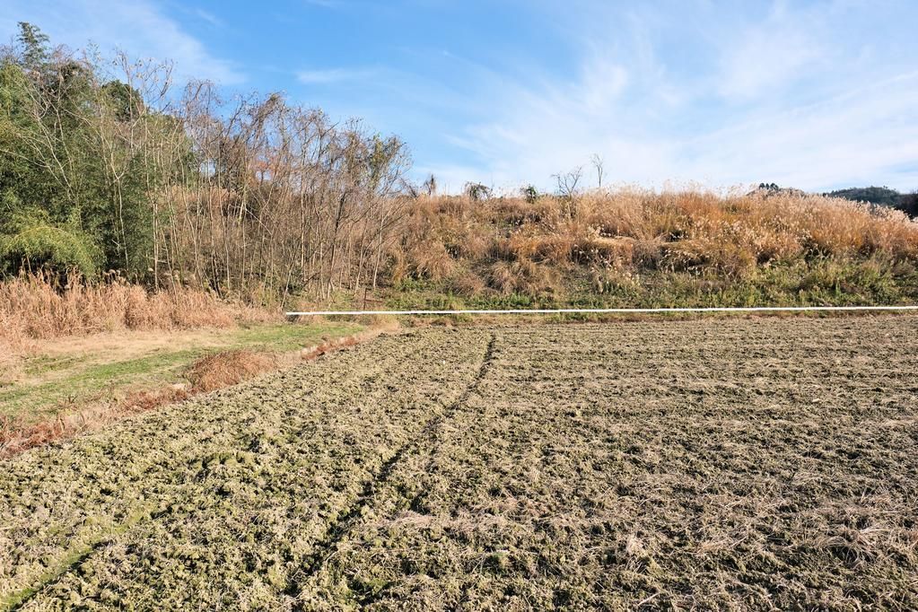 Large 16,405 sqm Land Plot for Sale in Ayabe, Kyoto with Solar Lease - Thumbnail 4