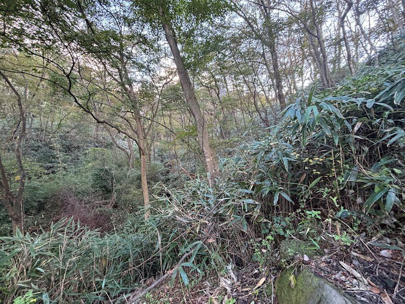 1,062 Tsubo Villa Land for Sale in Hakone Gora, Kanagawa - Thumbnail 4
