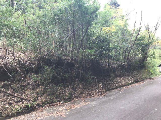 485 sqm Land Plot for Sale in Kirishima, Kagoshima - Thumbnail 4