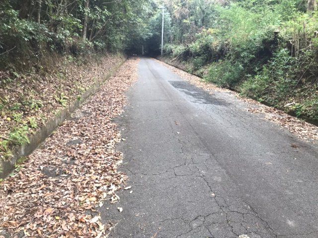 485 sqm Land Plot for Sale in Kirishima, Kagoshima - Thumbnail 3