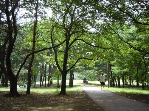 2LDK Apartment in Wakō City, Saitama - Renovated & Sunny - Thumbnail 4