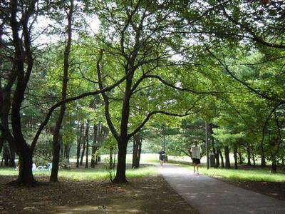 2LDK Apartment in Wakō City, Saitama - Renovated & Sunny — Image 3, Wako, Saitama