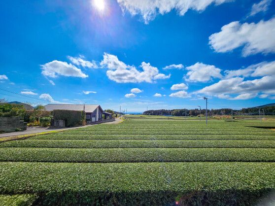 5K Wooden House for Sale in Makurazaki, Kagoshima - 2 Million Yen - Thumbnail 4
