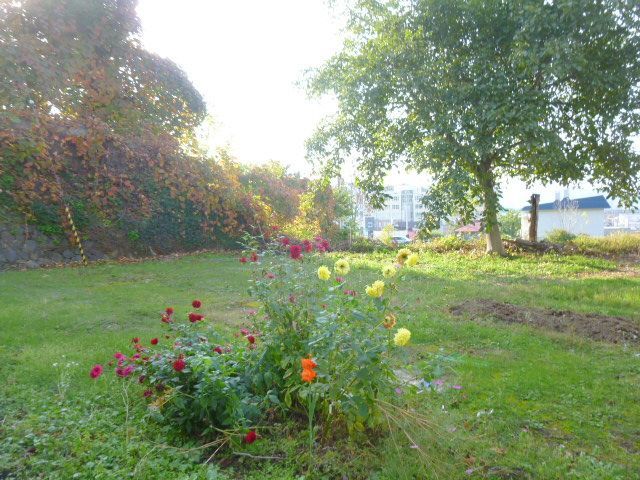 Vacant Land for Sale in Otaru, Hokkaido - 427.25 sqm - Thumbnail 3