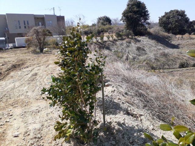 Vacant Land for Sale in Soma City, Fukushima - 1507 sqm Plot - Thumbnail 3