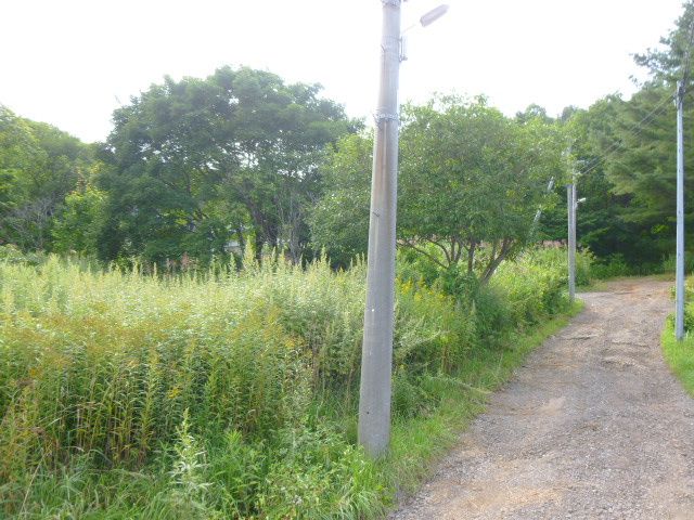 100 Tsubo Land for Sale in Quiet Otaru Residential Area - Thumbnail 4