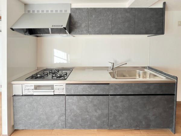 Refurbished 2LDK Apartment Near Atsugi Station, Ebina - Thumbnail 2