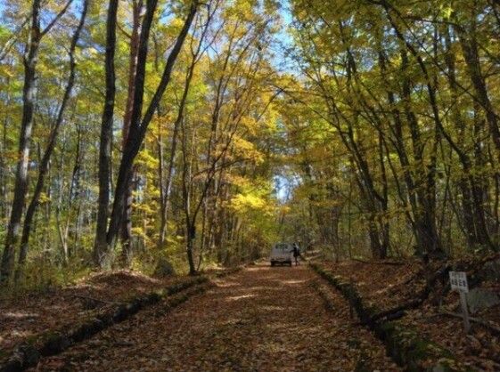 628 sqm Land for Sale in Tsumagoi Village, Gunma - Vacant Plot - Thumbnail 3