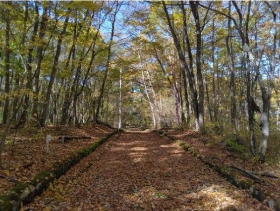 628 sqm Land for Sale in Tsumagoi Village, Gunma - Vacant Plot - Thumbnail 2