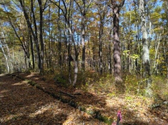 628 sqm Land for Sale in Tsumagoi Village, Gunma - Vacant Plot - Thumbnail 4