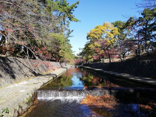 Rose Heights Shukugawa 3LDK Apartment in Nishinomiya - Thumbnail 2