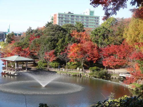 Vacant Residential Land for Sale in Takaoka, Toyama - Thumbnail 3