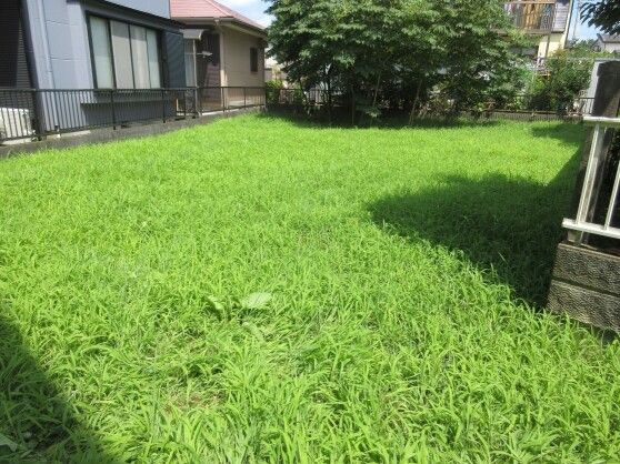 Land for Sale in Hatoyama Town, Saitama - 176.28 sqm Plot - Thumbnail 3