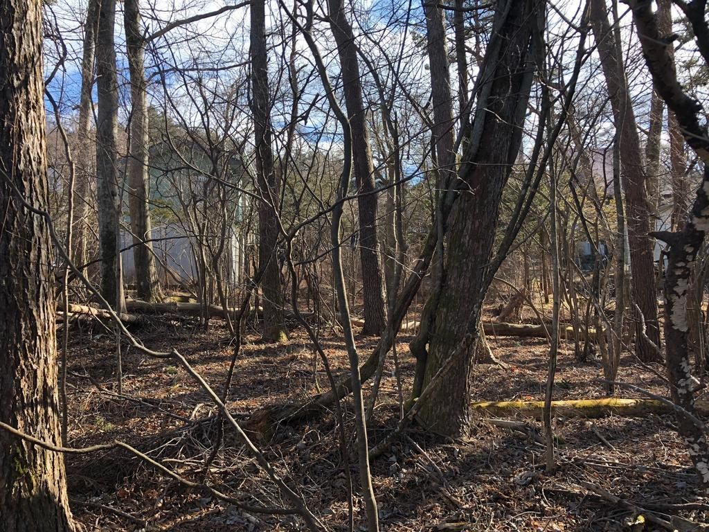 Vacant Land for Sale in Yamanakako Village, Yamanashi | 631 sqm - Thumbnail 3