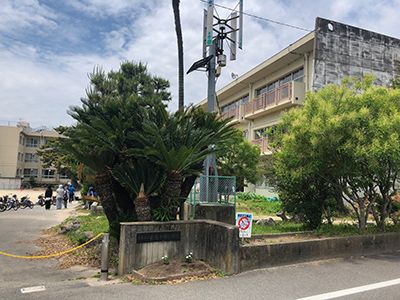 Land for Sale in Nagashima, Kuwana - Miekitown Development - Thumbnail 2