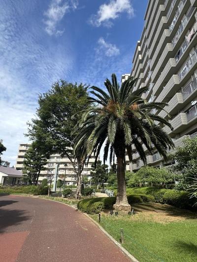 3LDK Apartment in Kashiwa - Sunpaseo New Kashiwa D Building — Image 3, Kashiwa, Chiba