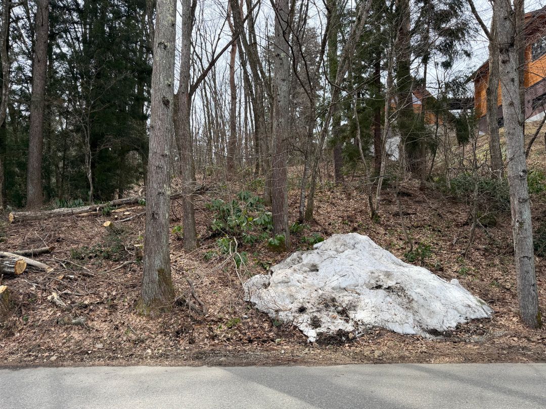 500 sqm Land for Sale in Hakuba, Nagano – Luxury Chalet Site - Thumbnail 3