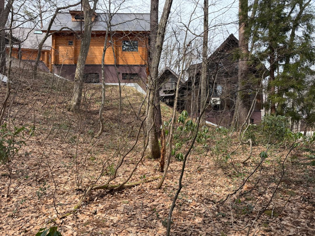 500 sqm Land for Sale in Hakuba, Nagano – Luxury Chalet Site - Thumbnail 2