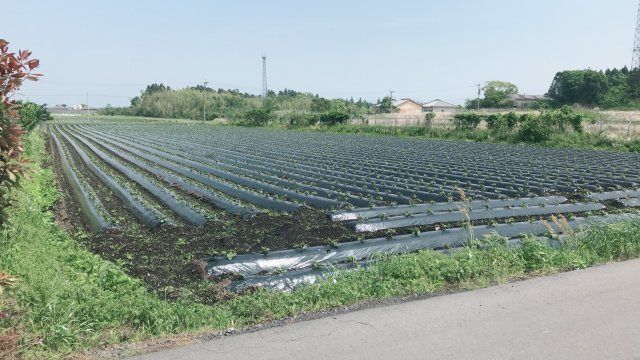 Large 934 sqm Plot for Sale in Kanoya City, Kagoshima - Thumbnail 3