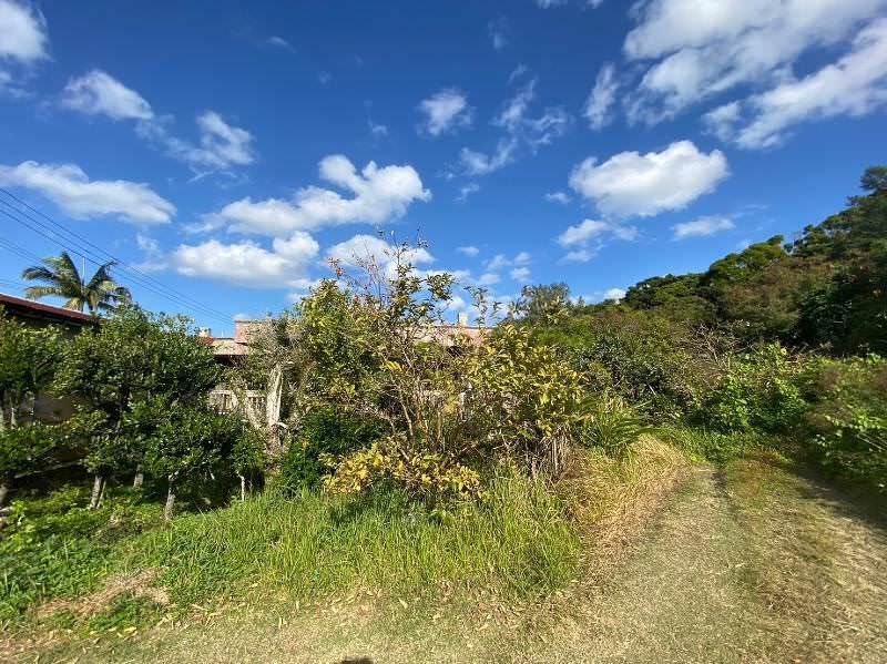 782 sqm Land Plot for Sale in Nanjo City, Okinawa - Thumbnail 2