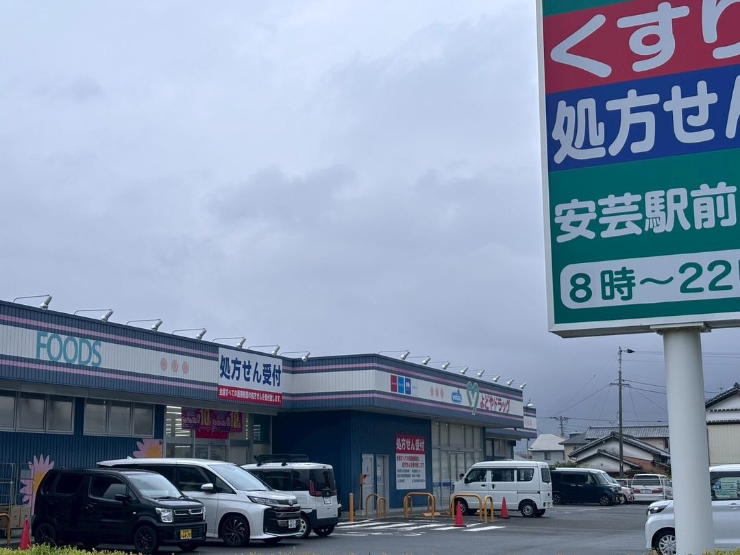 Vacant Land for Sale on Main Street in Aki City, Kochi - Thumbnail 3