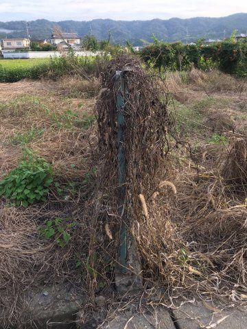 315 sqm Vacant Land for Sale in Tomaemae, Wakayama City - Thumbnail 4