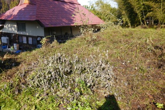 Renovated 100+ Year Old Kominka with Garden Space in Mishima, Fukushima - Thumbnail 4