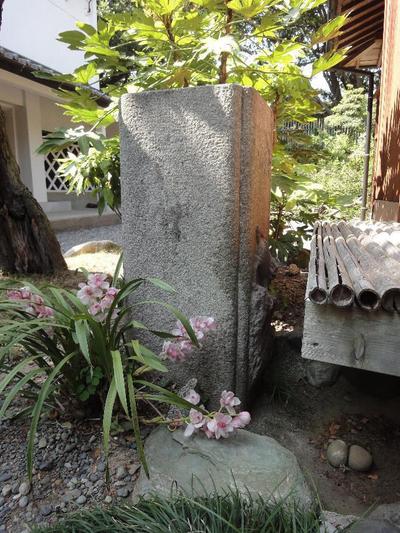 [Homes] Used detached house (Property number: 3331928-0000102) located about 20 minutes by car from the Tomei Expressway Sagara Makinohara IC (Makinohara City) — Image 6, Makinohara, Shizuoka