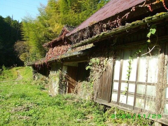 Land with Farmland for Sale in Takeo, Saga - Lifull No.79 - Thumbnail 4