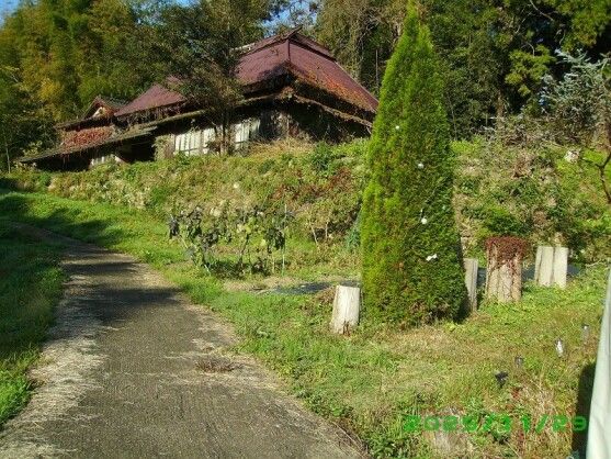 Land with Farmland for Sale in Takeo, Saga - Lifull No.79 - Thumbnail 3