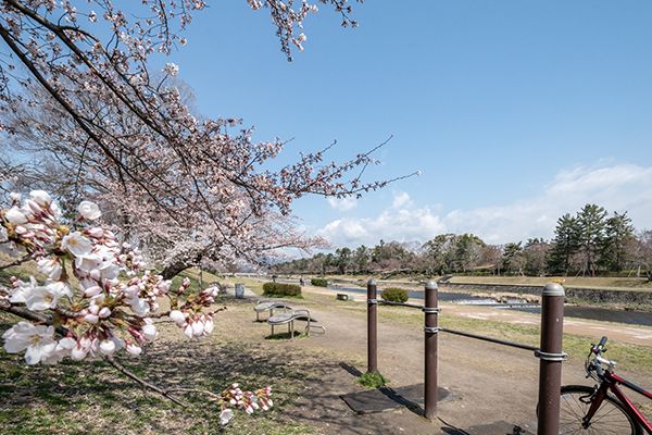 Traditional Machiya for Residence & Business in Shimogamo, Kyoto - Thumbnail 3