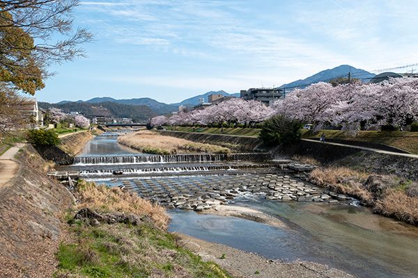 Traditional Machiya for Residence & Business in Shimogamo, Kyoto - Thumbnail 2