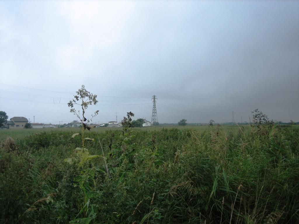 Flat Land for Sale in Kushiro, Hokkaido - Ideal for Garden - Thumbnail 3