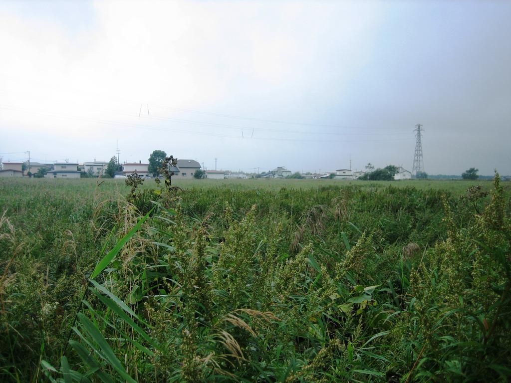 Flat Land for Sale in Kushiro, Hokkaido - Ideal for Garden - Thumbnail 2