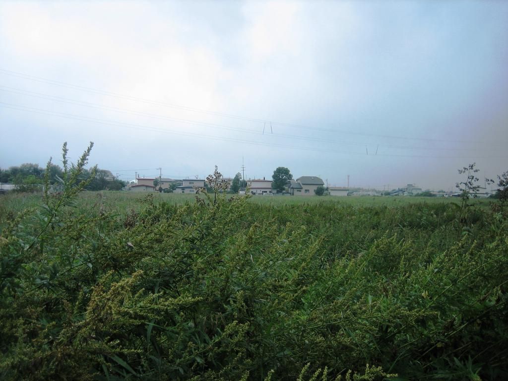 Flat Land for Sale in Kushiro, Hokkaido - Ideal for Garden - Thumbnail 4