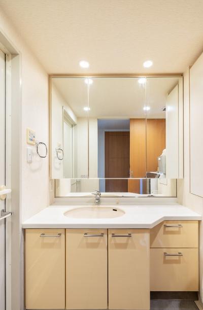 Luxury 3LDK Corner Unit in Lions Tower Ageo - 17th Floor — Image 3, Ageo, Saitama