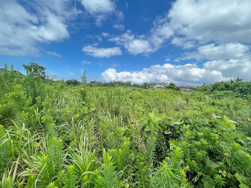 822 sqm Vacant Land for Sale in Tateyama, Chiba - Thumbnail 2