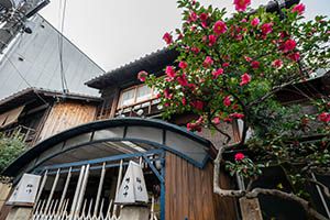 Shared Meiji-era Townhouse for Women in Kamigyo Ward, Kyoto - Thumbnail 2