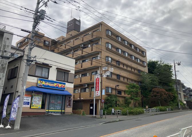 Lions Mansion Zama II 6F 1K Apartment for Sale - Thumbnail 2