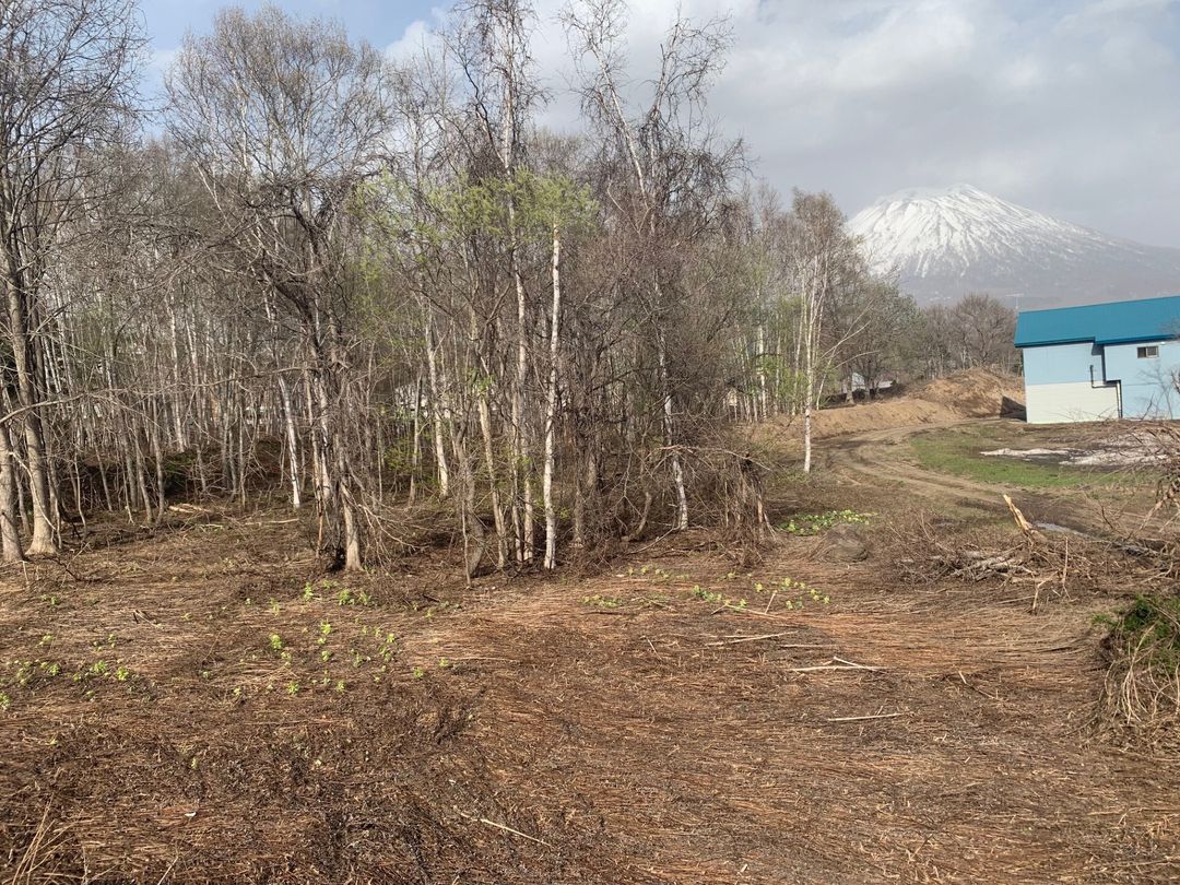 Land for Sale in Niseko, Hokkaido - 1,555 sqm - Thumbnail 4