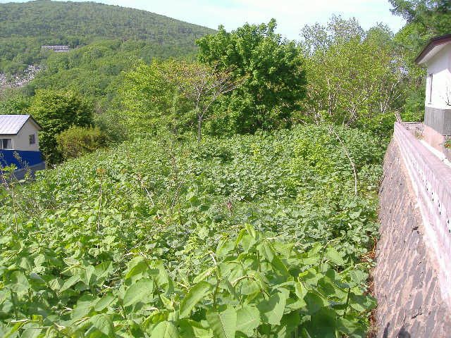 Vacant Land Plot for Sale in Otaru, Hokkaido - 513.95 sqm - Thumbnail 2