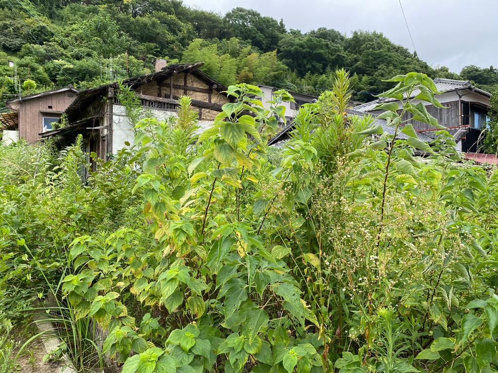 Land for Sale in Uwajima City, Ehime - 91.08 sqm - Thumbnail 2