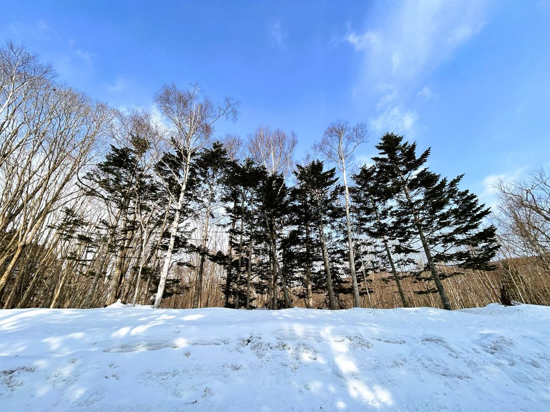2,002 sqm Land Plot for Sale in Niseko Hirafu, Kutchan - Thumbnail 2